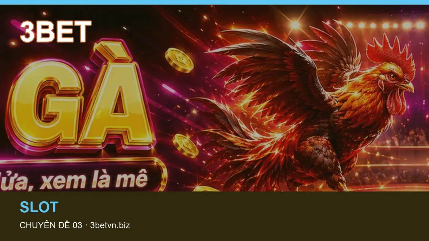 Slot: những thuật ngữ cần hiểu khi tra cứu 3BET