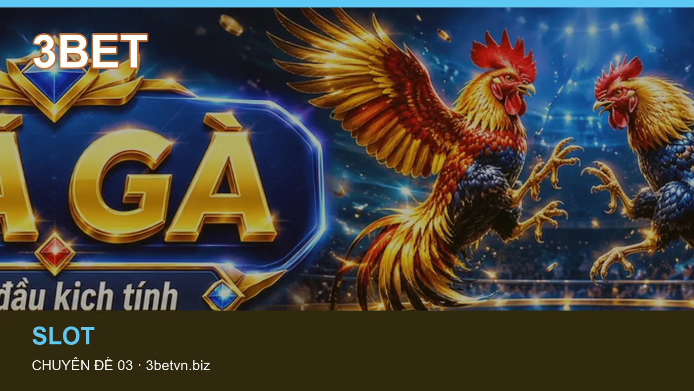 Bảo vệ dữ liệu cá nhân khi tìm hiểu Slot tại 3BET