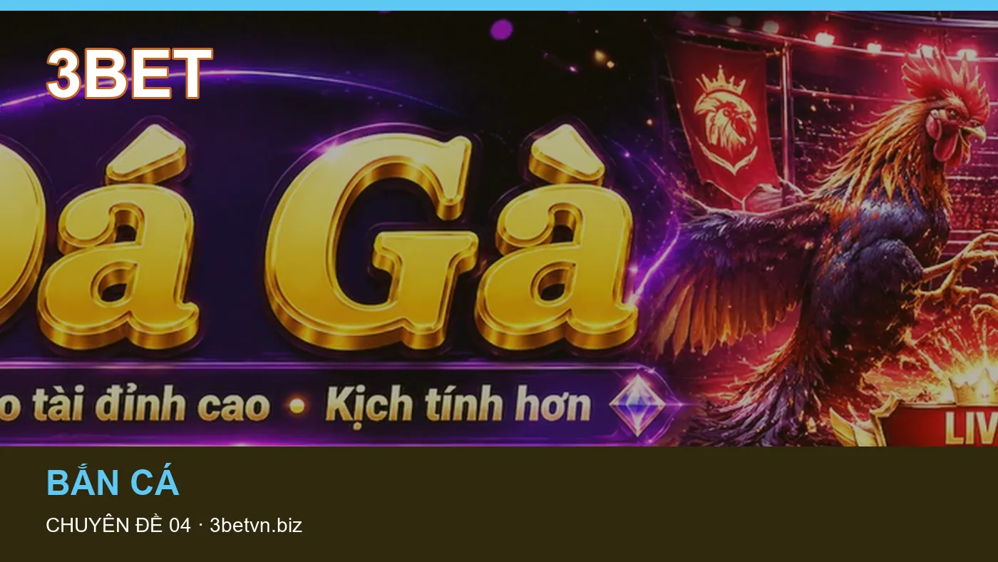 Bảo vệ dữ liệu cá nhân khi tìm hiểu Hướng dẫn tại 3BET
